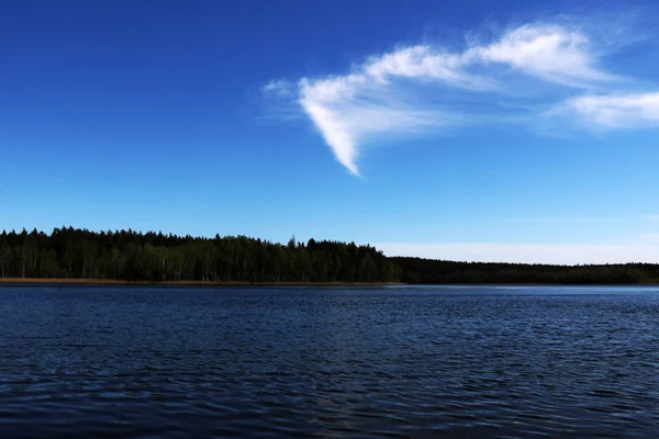 Vue sur le lac et la forêt avec un beau ciel par une journée ensoleillée — Photo