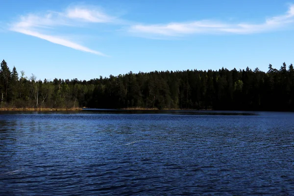 Vue sur le lac et la forêt avec un beau ciel par une journée ensoleillée — Photo