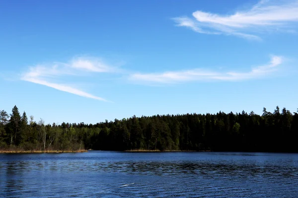 Vue sur le lac et la forêt avec un beau ciel — Photo