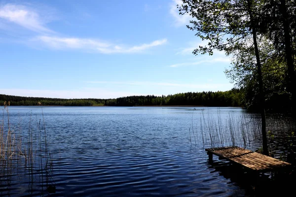 Vue sur le lac et la forêt avec un beau ciel — Photo