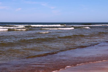 Palanga Beach'te. Bir uzun bir iskele, yaz aylarında turistlerin uğrak bir kumlu yer ile Litvanya en popüler plajlarından. Popüler turist resort.