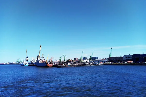 Vista Terminal Carga Marítima Puerto Comercial Carbón Grúas Portuarias Lituania — Foto de Stock