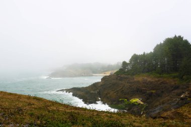 Pacific coast Santa Barbara, Kaliforniya yakınında. ABD