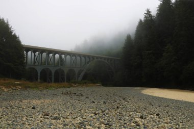 Pasifik kıyısında puslu sabah eski köprü.