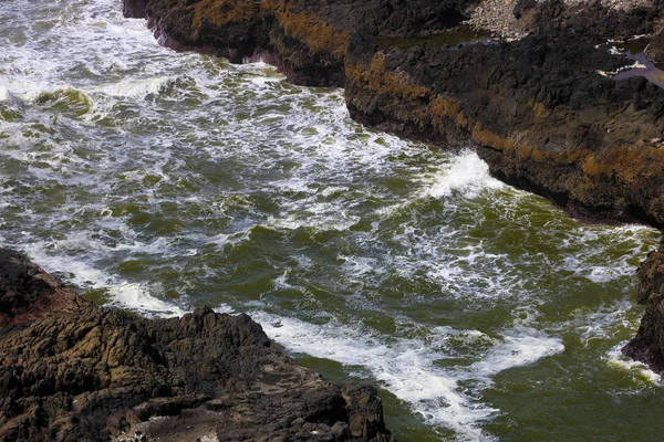 Mieszkanie Leżał Widok Lotu Ptaka Seal Rocks San Francisco Kalifornia — Zdjęcie stockowe