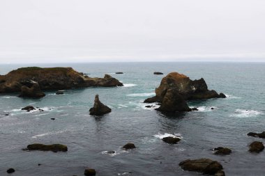 California, Amerika Birleşik Devletleri yılında Pasifik Okyanusu'nda kayalık sahil.