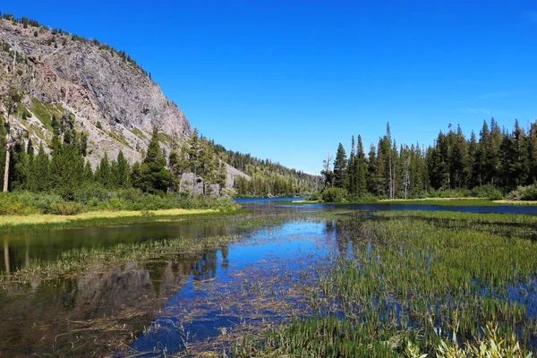 Parco Nazionale Dello Yosemite Vista Sulle Montagne Sulla Valle — Foto Stock
