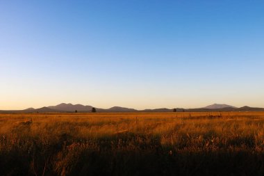 Arizona, ABD 'deki tarlaların ve dağların manzarası