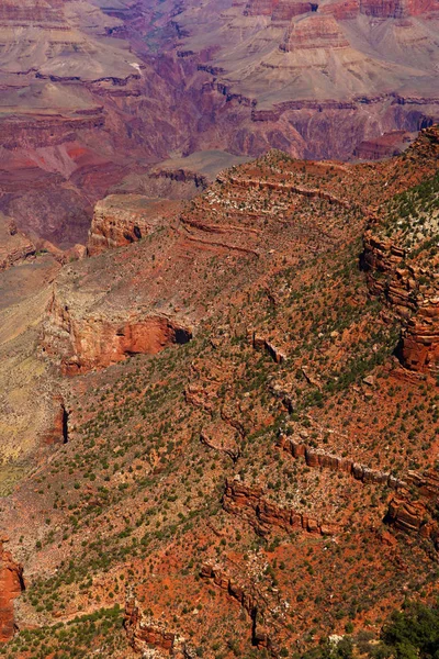 View South Rim Grand Canyon National Park — Stock Photo, Image