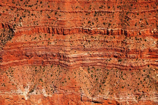 Park Narodowy Wielki Kanion Arizonie Jest Domem Dla Większości Ogromnego — Zdjęcie stockowe