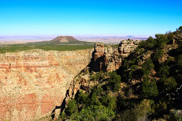 North Rim Grand Canyon June — Stock Photo, Image