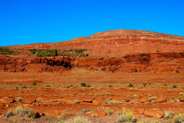 Piękny Górski Krajobraz Pustynny Kaktusami Pobliżu Tuscon Arizona — Zdjęcie stockowe