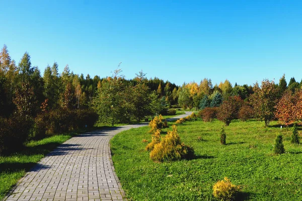 Uitzicht Het Park Voetgangersbrug Een Heldere Dag — Stockfoto