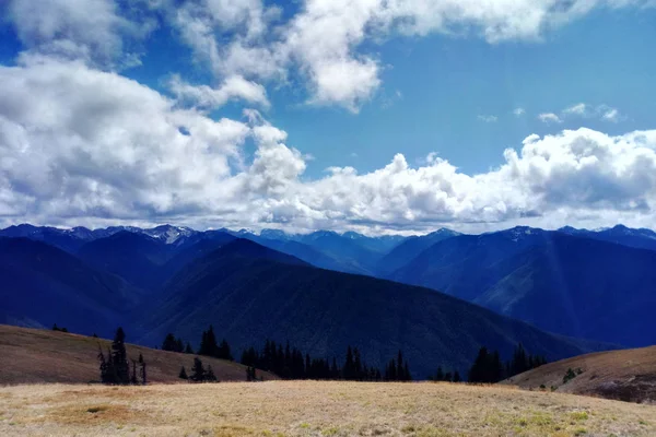 Céu Azul Nuvem Com Árvore Prado Plano Fundo Paisagem Para — Fotografia de Stock