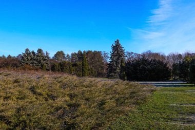 Kış parkında çimenler karla kaplıydı.