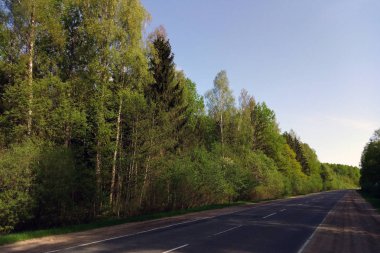 Yeşil ağaçlarla çevrili güzel bir yol manzarası.