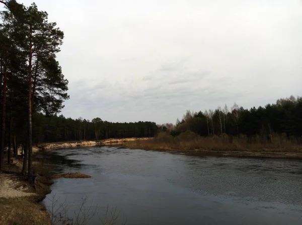 Blick Auf Den Fluss Frühling Oder Herbst Der Nähe Des — Stockfoto