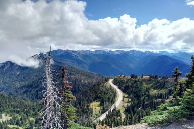 Dağların ve ormanın havadan görünüşü, orman boyunca uzanan yol.