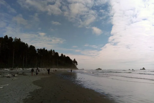 Plage Côtière Dans Parc National Olympique Péninsule Olympique Près Seattle — Photo