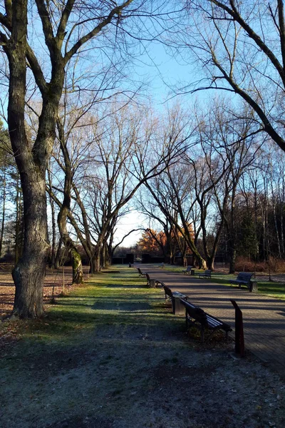 Mañana Parque Ciudad Otoño Primavera Nadie — Foto de Stock