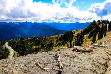 Olimpiyat Ulusal Parkı yolu, Washington, ABD.