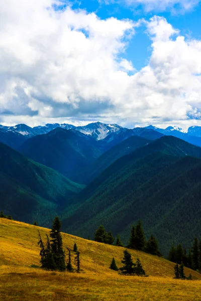 Облачный ландшафт в горах, Олимпийский национальный парк, Вашингтон, США. — стоковое фото