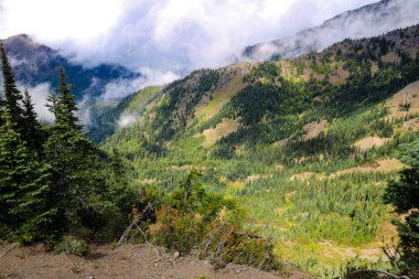 Olympic Mountain Range 'deki dağ manzarası, Olympic National Park, Washington, ABD.