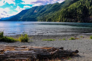 Lake Crescent Olimpiyat Ulusal Parkı, Washington, ABD.