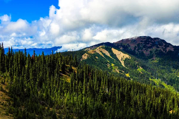 Olympic Mountain range, Olympic National Park, Washington, EUA . — Fotografia de Stock