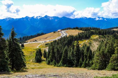 Olympic Mountain Range 'deki dağ manzarası, Olympic National Park, Washington, ABD.