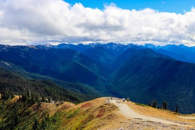 Olympic Mountain Range 'in güzel manzarası, Olympic National Park, Washington, ABD.