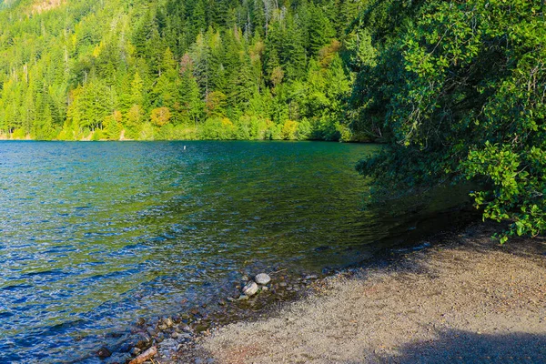 Lake Crescent all'Olympic National Park, Washington, USA. — Foto Stock