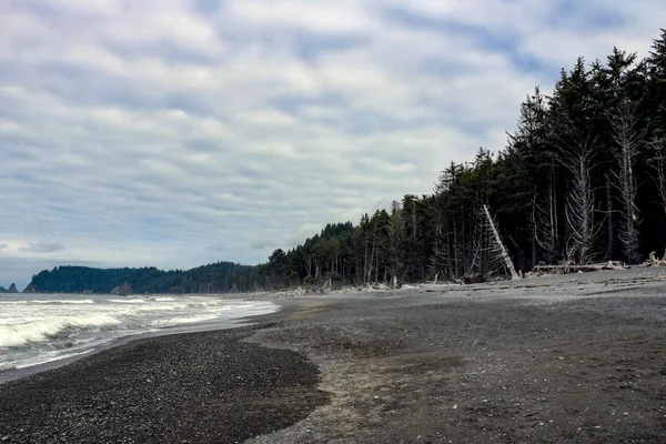 Bois de grève brisé et débris marins divers accumulés sur les sables noirs du sentier de randonnée de la côte perdue. — Photo