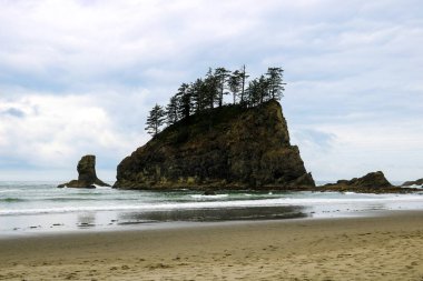 Sabahleyin Olimpiyat Ulusal Parkı 'ndaki ikinci plaj, ABD.
