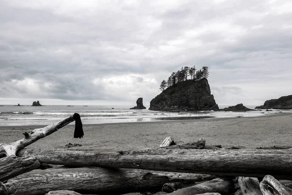 Photo noir et blanc de la deuxième plage dans la zone du Parc National Olympique, Washington, États-Unis. — Photo