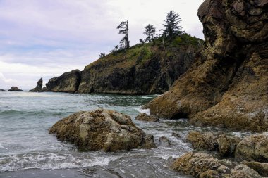 İkinci Plaj Olimpiyat Ulusal Parkı, Washington, ABD.