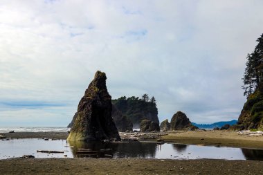 Olimpiyat Ulusal Parkı, Washington, ABD 'deki plajın güzel manzarası..