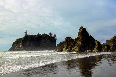 Olimpiyat Ulusal Parkı, Washington, ABD 'deki plajın güzel manzarası..