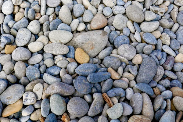 Arrière-plan avec différentes pierres de mer de couleur. Contexte — Photo