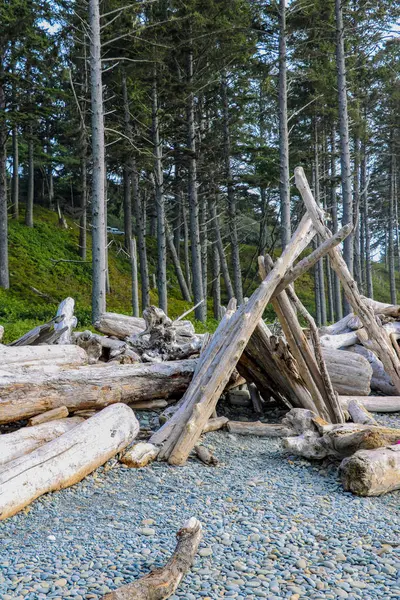 Olimpiyat Ulusal Parkı 'ndaki sahil manzarası, Washington, ABD. — Stok fotoğraf