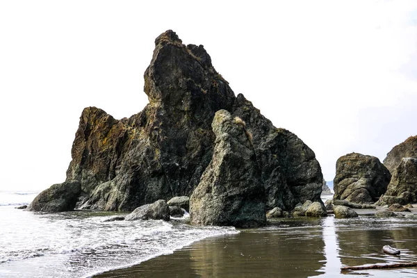 Belle vue sur la plage dans le Parc National Olympique, Washington, USA. — Photo