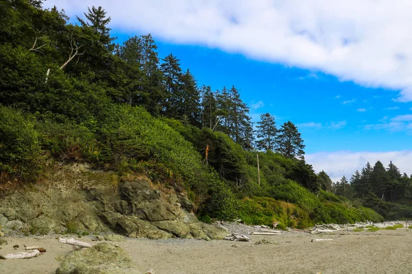 Belle vue sur la plage dans le Parc National Olympique, Washington, USA. — Photo