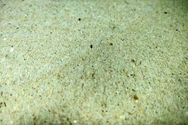 Odak, olmadan arka plan bulanık duvar yakın çekim, arka plan.