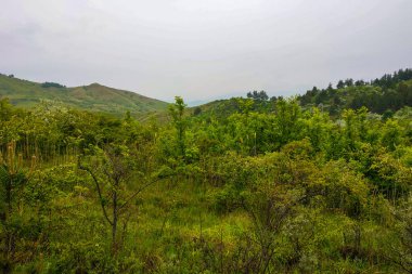 Yaz aylarında güneşli olmayan bir günde Doğa arka plan.