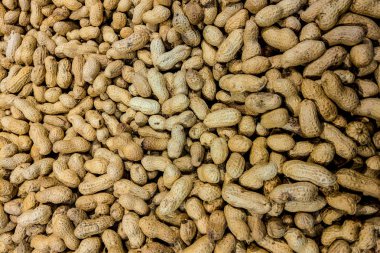 Yer fıstığı görünümü, gıda arka plan, tasarımcılar için hazırlık.