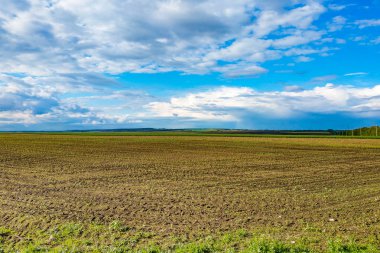 Yeşil alan ve büyük beyaz bulutlar ile güzel manzara.