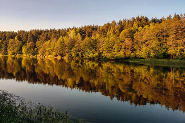 Bir orman ile güzel nehir, sudaki ağaçların yansıması, dalgalar olmadan suyun pürüzsüz sakin yüzeyi.