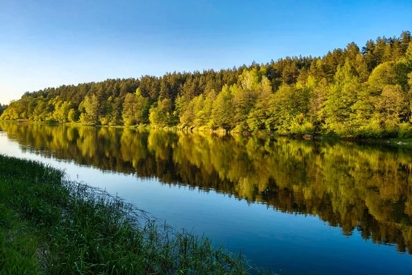 Красива річка з лісом, відображення дерев у воді, гладка спокійна поверхня води без хвиль . — стокове фото