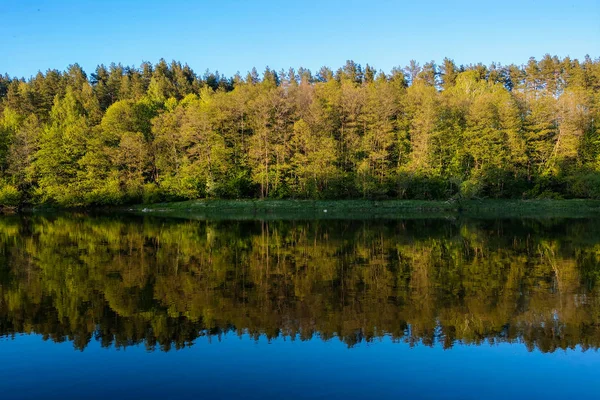 Красивая река с лесом, отражение деревьев в воде, гладкая спокойная поверхность воды без волн . — стоковое фото