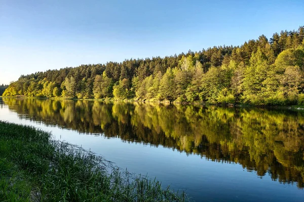 Gyönyörű folyó egy erdőben, a fák visszaverése a vízben, sima nyugodt felszíni víz nélkül hullámok. — Stock Fotó